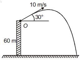 JEE-Physics-Online-Test-Motion-In-A-Plane-Set-E-1