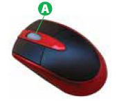 NCO Cyber Olympiad Online Mock Test Class 2 Set E-5