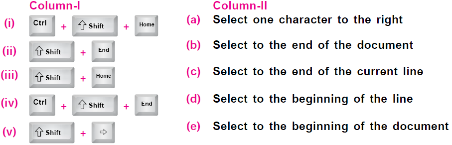 NCO-Cyber-Olympiad-Online-Mock-Test-Class-5-Set-E