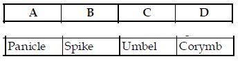 NEET-Online-Mock-Test-For-Full-Syllabus-Set-H-6
