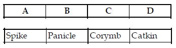 NEET-Online-Mock-Test-For-Full-Syllabus-Set-H-8
