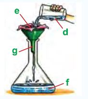 NSO-Science-Olympiad-Online-Mock-Test-Class-5-Set-C-7