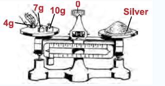 NSO-Science-Olympiad-Online-Mock-Test-Class-5-Set-C-8