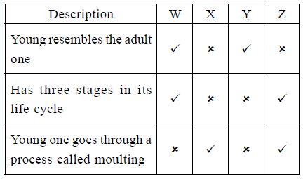 NSO-Science-Olympiad-Online-Mock-Test-Class-5-Set-E-4