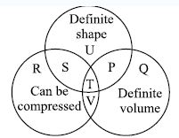 NSO-Science-Olympiad-Online-Mock-Test-Class-5-Set-E-6
