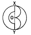 CBSE-Class-10-Mathematics-Areas-related-to-circles-MCQs-Set-B-4