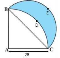 CBSE-Class-10-Mathematics-Areas-related-to-circles-MCQs-Set-D-13