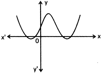 CBSE-Class-10-Mathematics-Polynomials-MCQs-Set-D-2