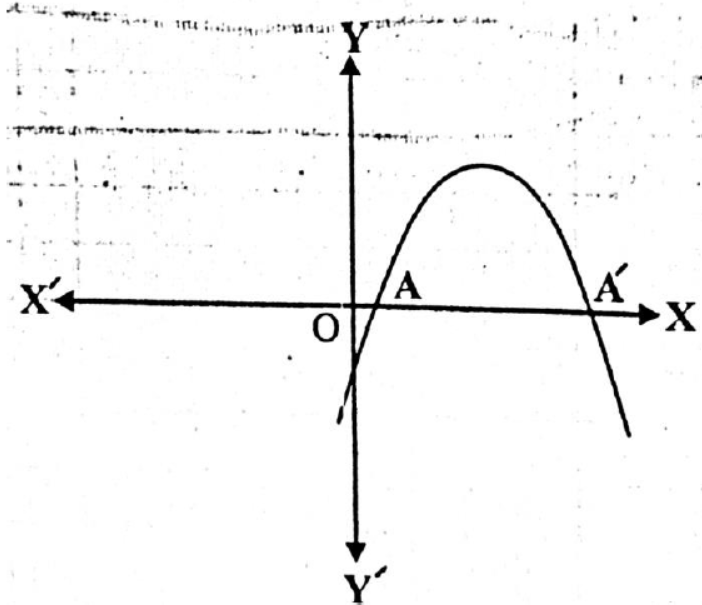 CBSE-Class-10-Mathematics-Polynomials-Worksheet-Set-09-3
