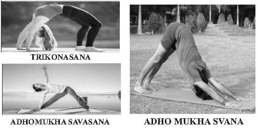 CBSE-Class-10-Mathematics-Polynomials-Worksheet-Set-D-2