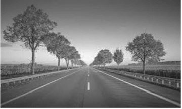 CBSE-Class-10-Mathematics-Quadratic-Equations-MCQs-Set-C