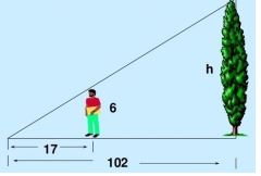 CBSE-Class-10-Mathematics-Triangles-MCQs-Set-D-11