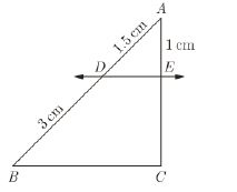 CBSE-Class-10-Mathematics-Triangles-MCQs-Set-D-3