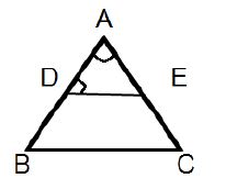 CBSE-Class-10-Mathematics-Triangles-MCQs-Set-D-6