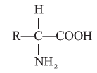 CBSE-Class-11-Biology-Biomolecules-Notes-Set-B-1