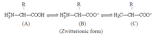 CBSE-Class-11-Biology-Biomolecules-Notes-Set-B-2