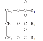 CBSE-Class-11-Biology-Biomolecules-Notes-Set-B-5