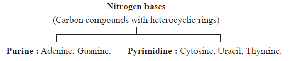 CBSE-Class-11-Biology-Biomolecules-Notes-Set-B-6