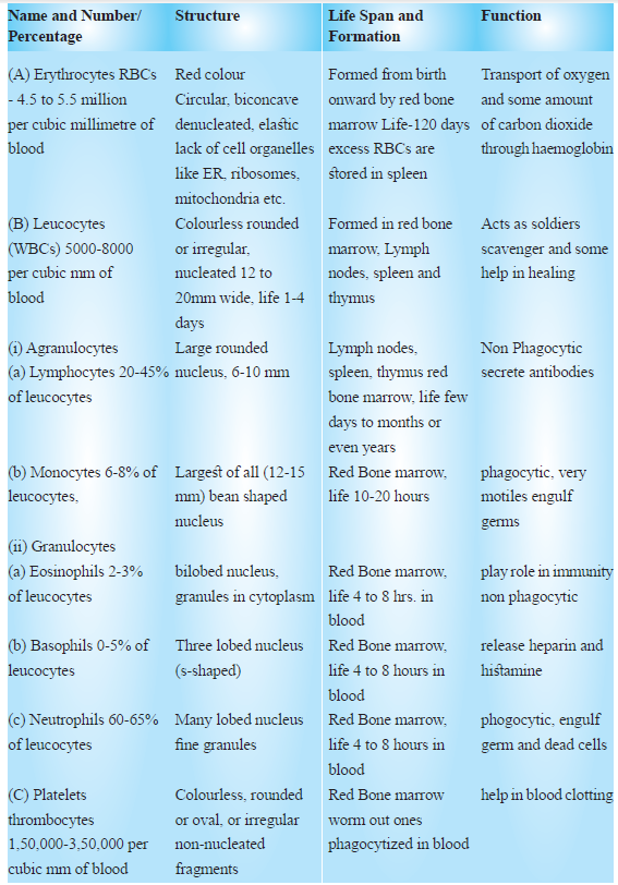 CBSE-Class-11-Biology-Body-Fluids-And-Circulation-Notes-Set-B-1