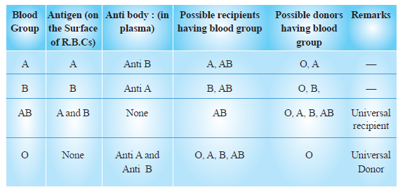 CBSE-Class-11-Biology-Body-Fluids-And-Circulation-Notes-Set-B-3