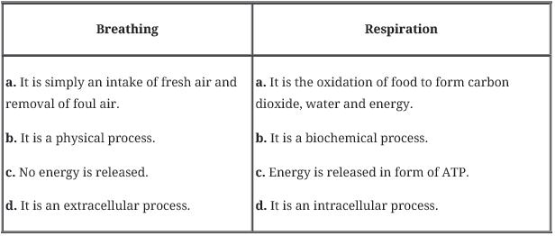 CBSE-Class-11-Biology-Breathing-And-Exchange-Of-Gases-Notes-Set-B-1