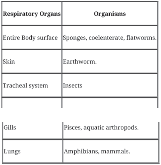 CBSE-Class-11-Biology-Breathing-And-Exchange-Of-Gases-Notes-Set-B-2