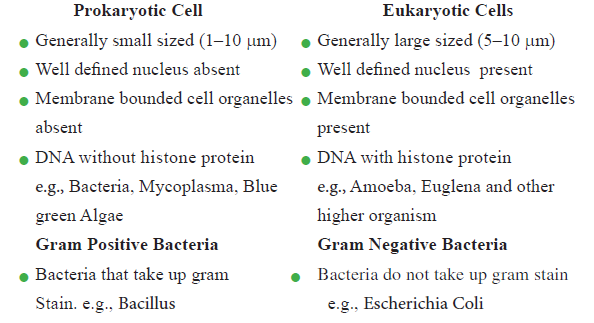 CBSE-Class-11-Biology-Cell-The-Unit-Of-Life-Notes-Set-B-1