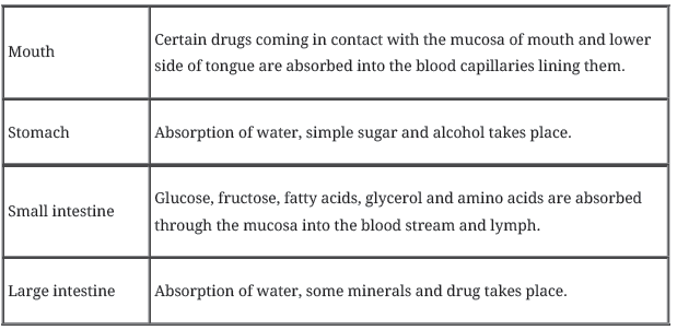 CBSE-Class-11-Biology-Digestion-and-Absorption-Notes-Set-B-5
