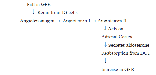 CBSE-Class-11-Biology-Excretory-Products-And-Their-Elimination-Notes-Set-B-1
