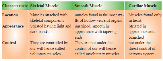 CBSE-Class-11-Biology-Locomotion-And-Movement-Notes-Set-B-1