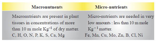 CBSE-Class-11-Biology-Mineral-Nutrition-Notes-Set-B-1