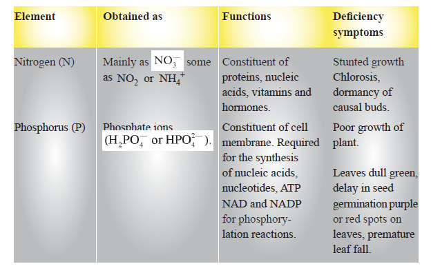 CBSE-Class-11-Biology-Mineral-Nutrition-Notes-Set-B-2