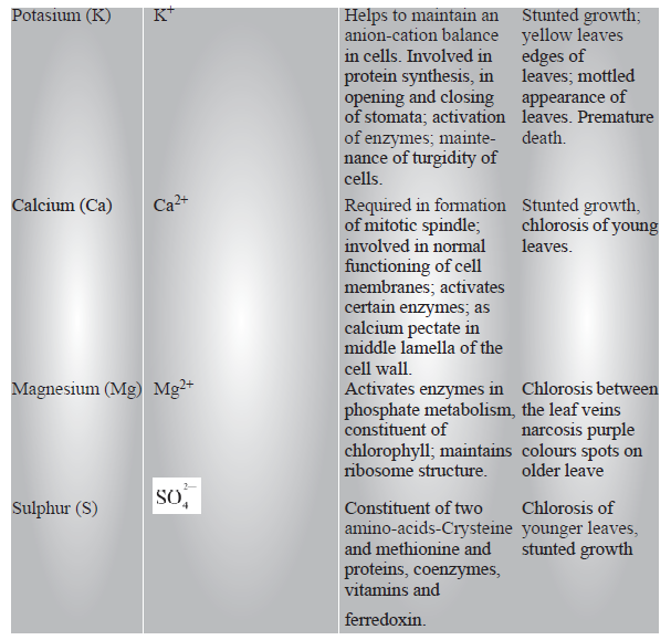 CBSE-Class-11-Biology-Mineral-Nutrition-Notes-Set-B-3
