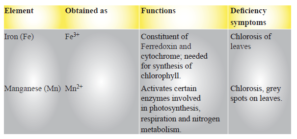 CBSE-Class-11-Biology-Mineral-Nutrition-Notes-Set-B-4
