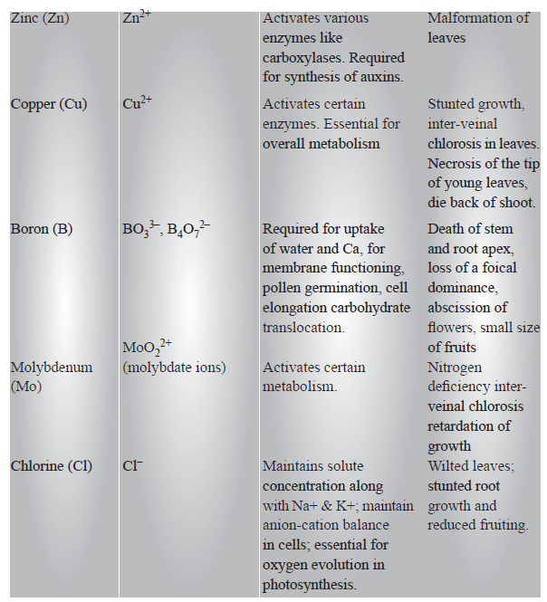 CBSE-Class-11-Biology-Mineral-Nutrition-Notes-Set-B-5