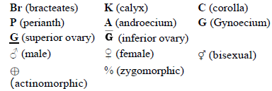 CBSE-Class-11-Biology-Morphology-Of-Flowering-Plants-Notes-Set-B-14