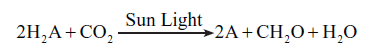 CBSE-Class-11-Biology-Photosynthesis-In-Higher-Plants-Notes-Set-B-2