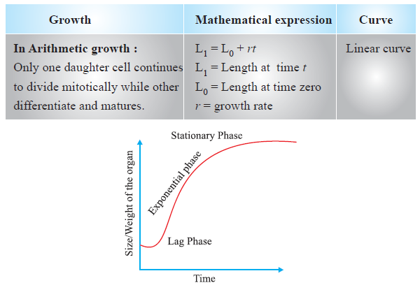 CBSE-Class-11-Biology-Plant-Growth-And-Development-Notes-Set-B-2