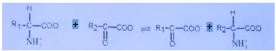 CBSE-Class-11-Biology-Plant-Growth-and-Development-MCQs-Set-B-1