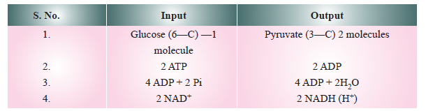 CBSE-Class-11-Biology-Respiration-In-Plants-Notes-Set-B-2