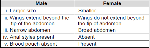 CBSE-Class-11-Biology-Structural-Organisation-In-Animals-Notes-Set-B-9