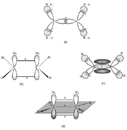 CBSE-Class-11-Chemistry-Chemical-Bonding-And-Molecular-Structure-Notes-Set-F-25
