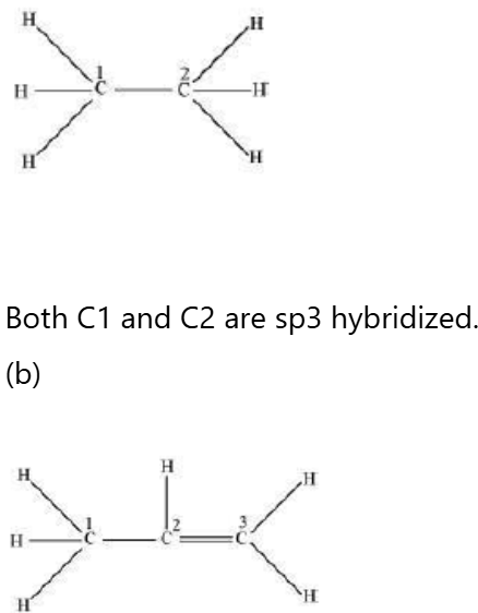 CBSE-Class-11-Chemistry-Chemical-Bonding-And-Molecular-Structure-Notes-Set-F-35
