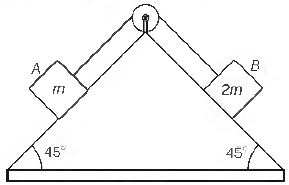 CBSE-Class-11-Physics-Laws-of-Motion-MCQs-12