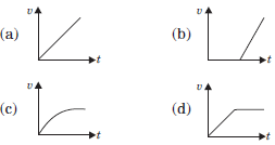 CBSE-Class-11-Physics-Mechanical-Properties-of-Fluids-MCQs-1