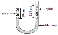 CBSE-Class-11-Physics-Mechanical-Properties-of-Fluids-MCQs-6