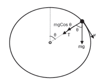 CBSE-Class-11-Physics-Newtons-Laws-Of-Motion-Notes-Set-E-100