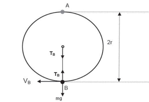 CBSE-Class-11-Physics-Newtons-Laws-Of-Motion-Notes-Set-E-104