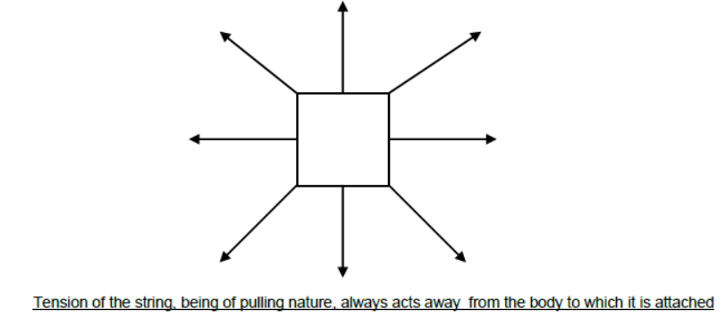 CBSE-Class-11-Physics-Newtons-Laws-Of-Motion-Notes-Set-E-21