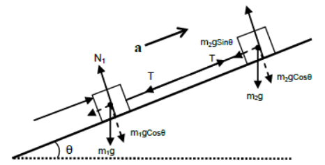 CBSE-Class-11-Physics-Newtons-Laws-Of-Motion-Notes-Set-E-31